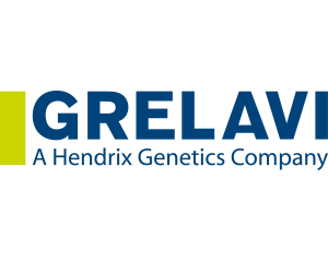 GRELAVI S.A.