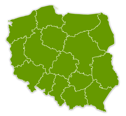 Stan ognisk grypy ptaków w Polsce