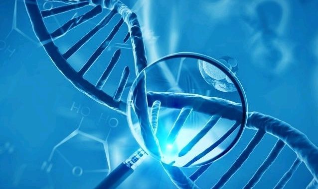 Wirus H5N8 wykryty w Polsce nie jest zagrożeniem dla ludzi